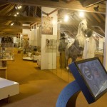 Salle "Le cheval dans le sport et les loisirs" au Musée Suisse du Cheval, La Sarraz. Immersion dans l'histoire équestre et les métiers traditionnels. Exposition interactive sur le patrimoine artisanal lié au cheval. Ateliers ludiques au Château.
