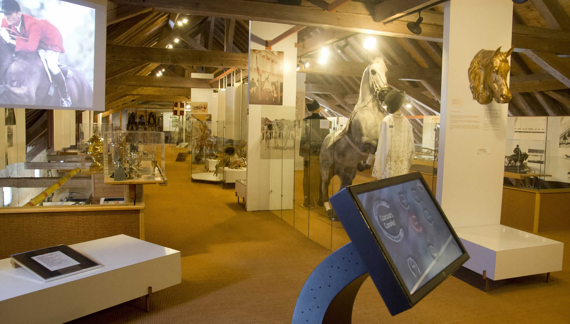 Salle "Le cheval dans le sport et les loisirs" au Musée Suisse du Cheval, La Sarraz. Immersion dans l'histoire équestre et les métiers traditionnels. Exposition interactive sur le patrimoine artisanal lié au cheval. Ateliers ludiques au Château.