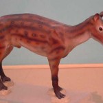 Salle "L'évolution du cheval" au Musée Suisse du Cheval, La Sarraz. Immersion dans l'histoire équestre et les métiers traditionnels. Exposition interactive sur le patrimoine artisanal lié au cheval. Ateliers ludiques au Château.