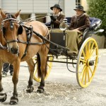 Salle "Le cheval à la ferme" au Musée Suisse du Cheval, La Sarraz. Immersion dans l'histoire équestre et les métiers traditionnels. Exposition interactive sur le patrimoine artisanal lié au cheval. Ateliers ludiques au Château.