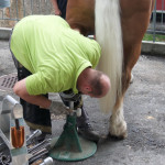 Salle "La ronde des métiers" au Musée Suisse du Cheval, La Sarraz. Immersion dans l'histoire équestre et les métiers traditionnels. Exposition interactive sur le patrimoine artisanal lié au cheval. Ateliers ludiques au Château.