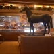 Salle "La vie du cheval" au Musée Suisse du Cheval, La Sarraz. Immersion dans l'histoire équestre et les métiers traditionnels. Exposition interactive sur le patrimoine artisanal lié au cheval. Ateliers ludiques au Château.