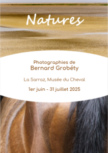 Photographie de nature par Bernard Groberty exposée au Musée Suisse du Cheval à La Sarraz, du 1er juin au 31 juillet 2025 : un cheval en pleine nature devant le château de La Sarraz, illustrant le patrimoine équestre suisse.