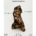 Explorez l’histoire équestre au Musée Suisse du Cheval à La Sarraz : collections uniques, expositions artistiques, conférences et Fête du Cheval pour toute la famille, avec l’exposition « En tout art et conscience » de Martial Hunkeler du 2 août au 30 septembre 2025